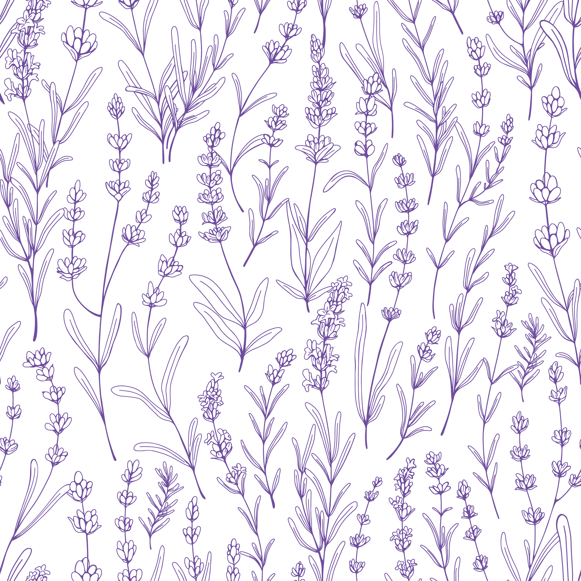 Lavender Flowers Seamless Pattern